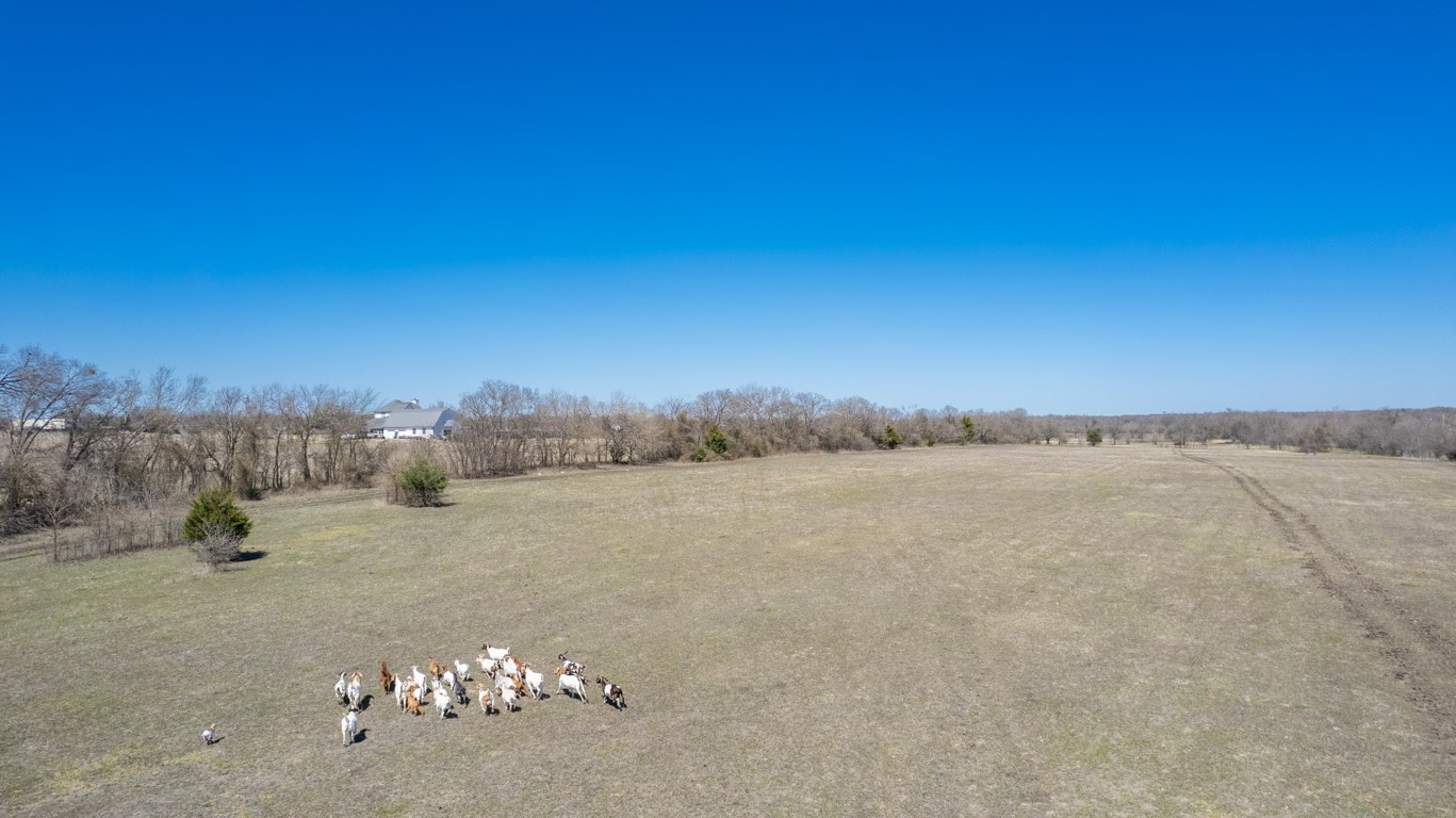 53 Us Highway 69 Celeste TX 75423