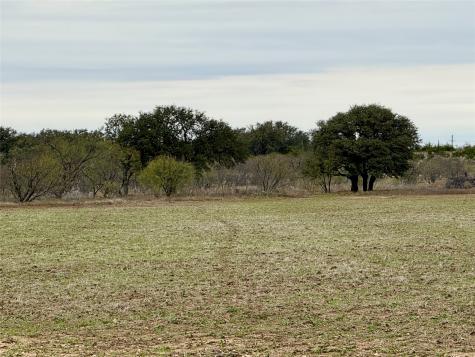 9455 County Road 189 Bangs TX 76823