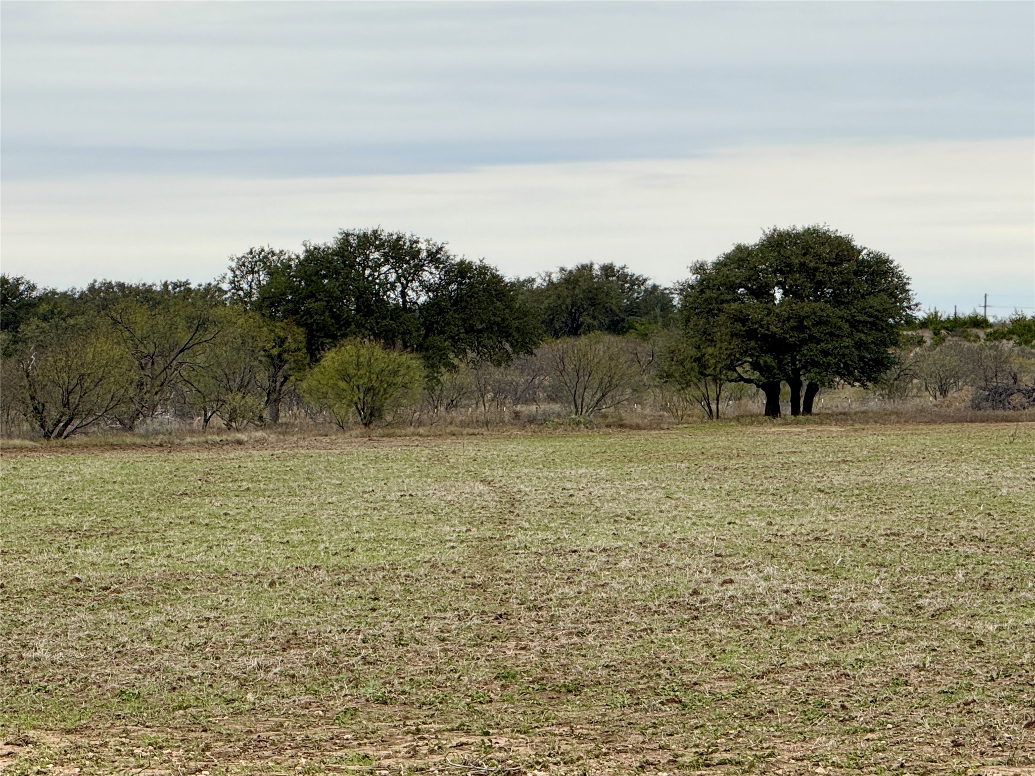 9455 County Road 189 Bangs TX 76823