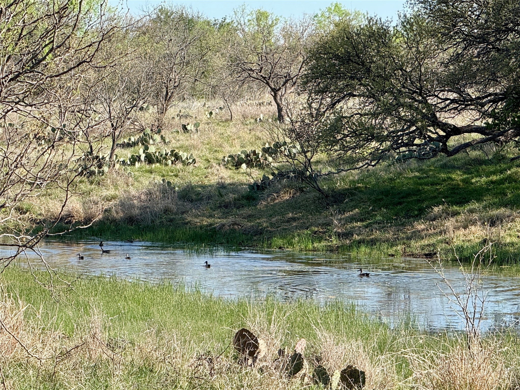 9455 County Road 189 Bangs TX 76823