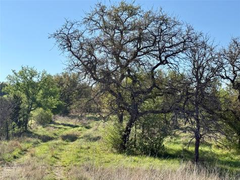 9455 County Road 189 Bangs TX 76823