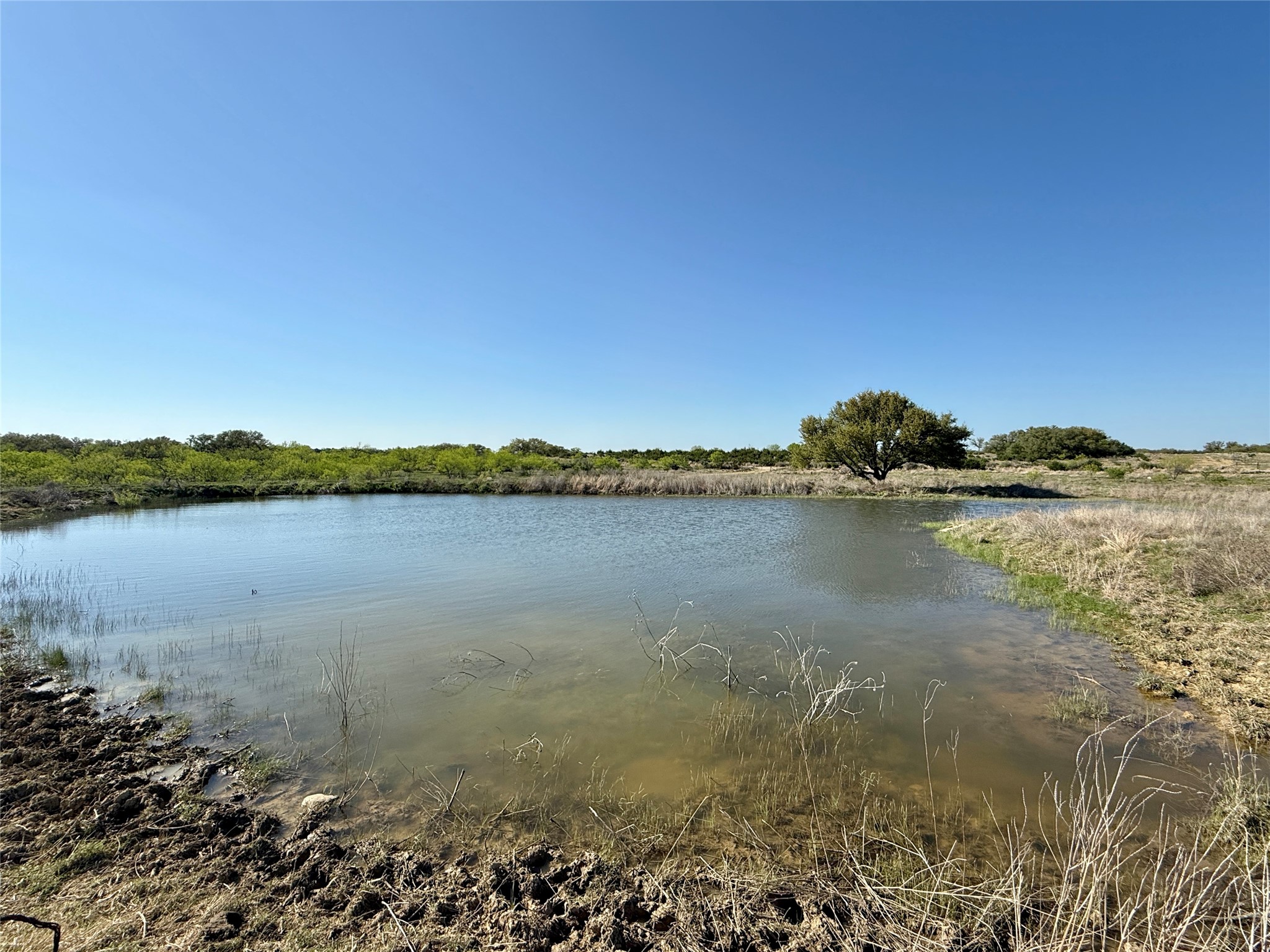 9455 County Road 189 Bangs TX 76823