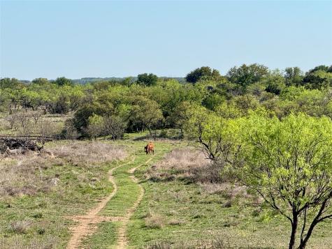 9455 County Road 189 Bangs TX 76823
