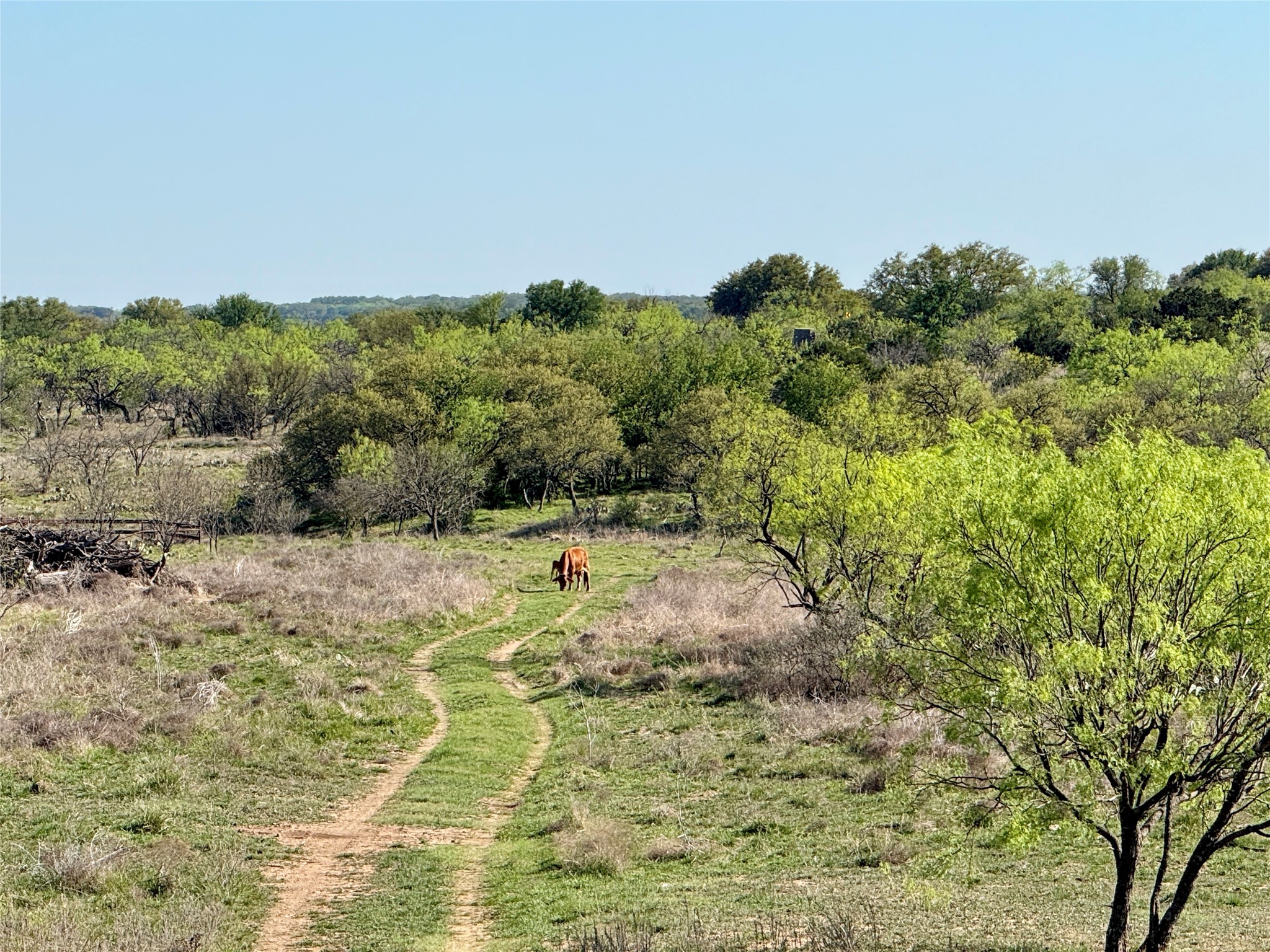 9455 County Road 189 Bangs TX 76823