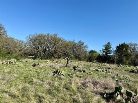 9455 County Road 189 Bangs TX 76823