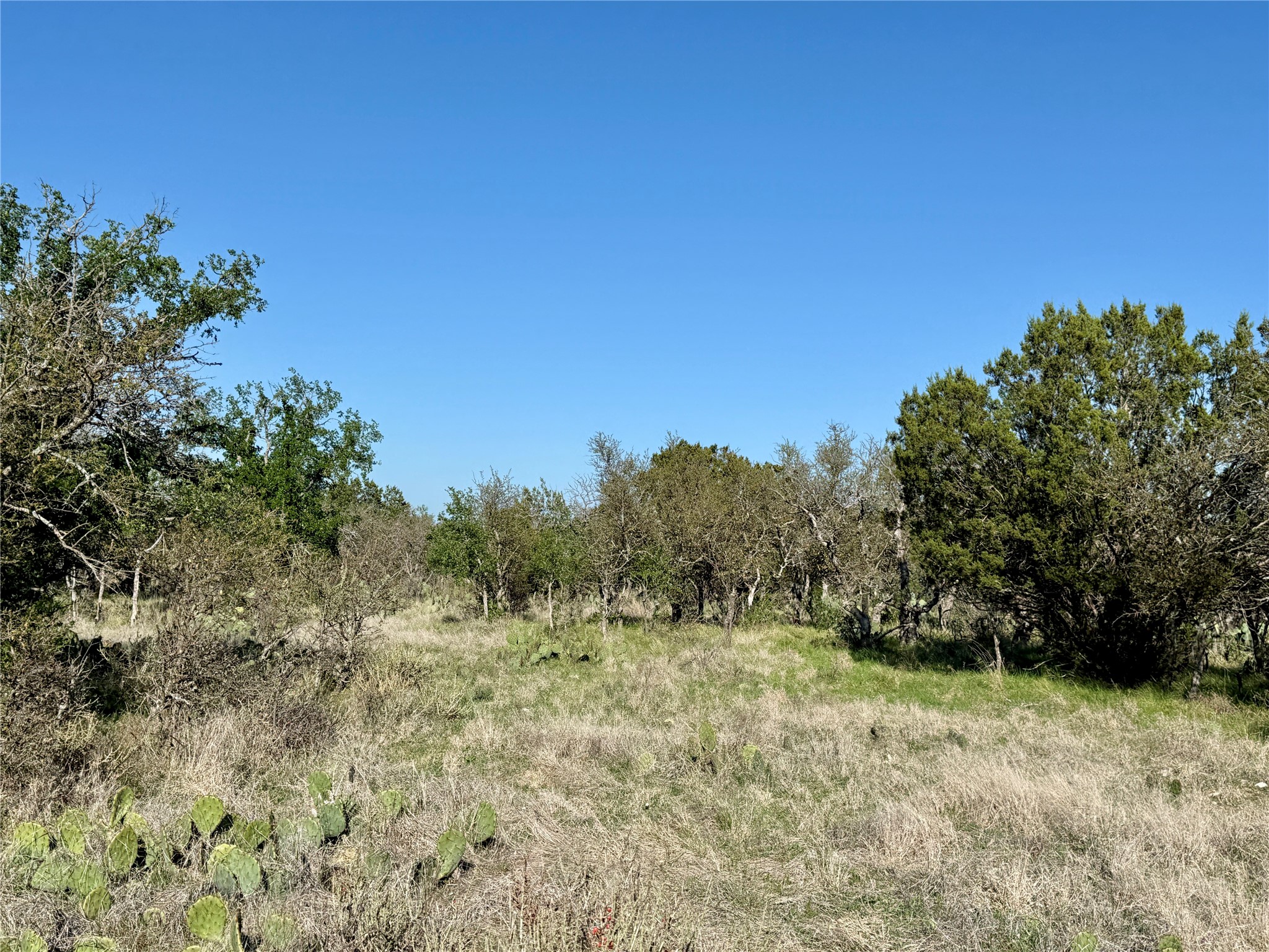 9455 County Road 189 Bangs TX 76823