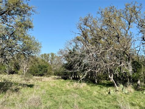 9455 County Road 189 Bangs TX 76823