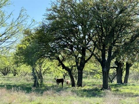 9455 County Road 189 Bangs TX 76823