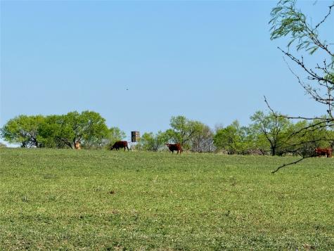 9455 County Road 189 Bangs TX 76823
