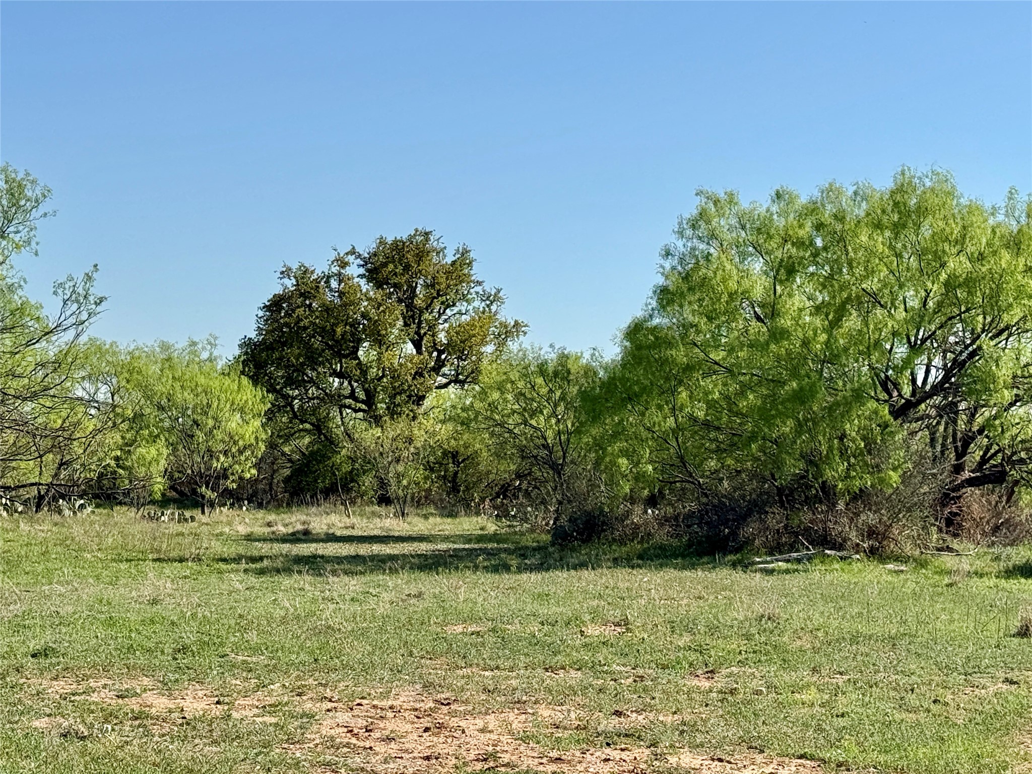 9455 County Road 189 Bangs TX 76823