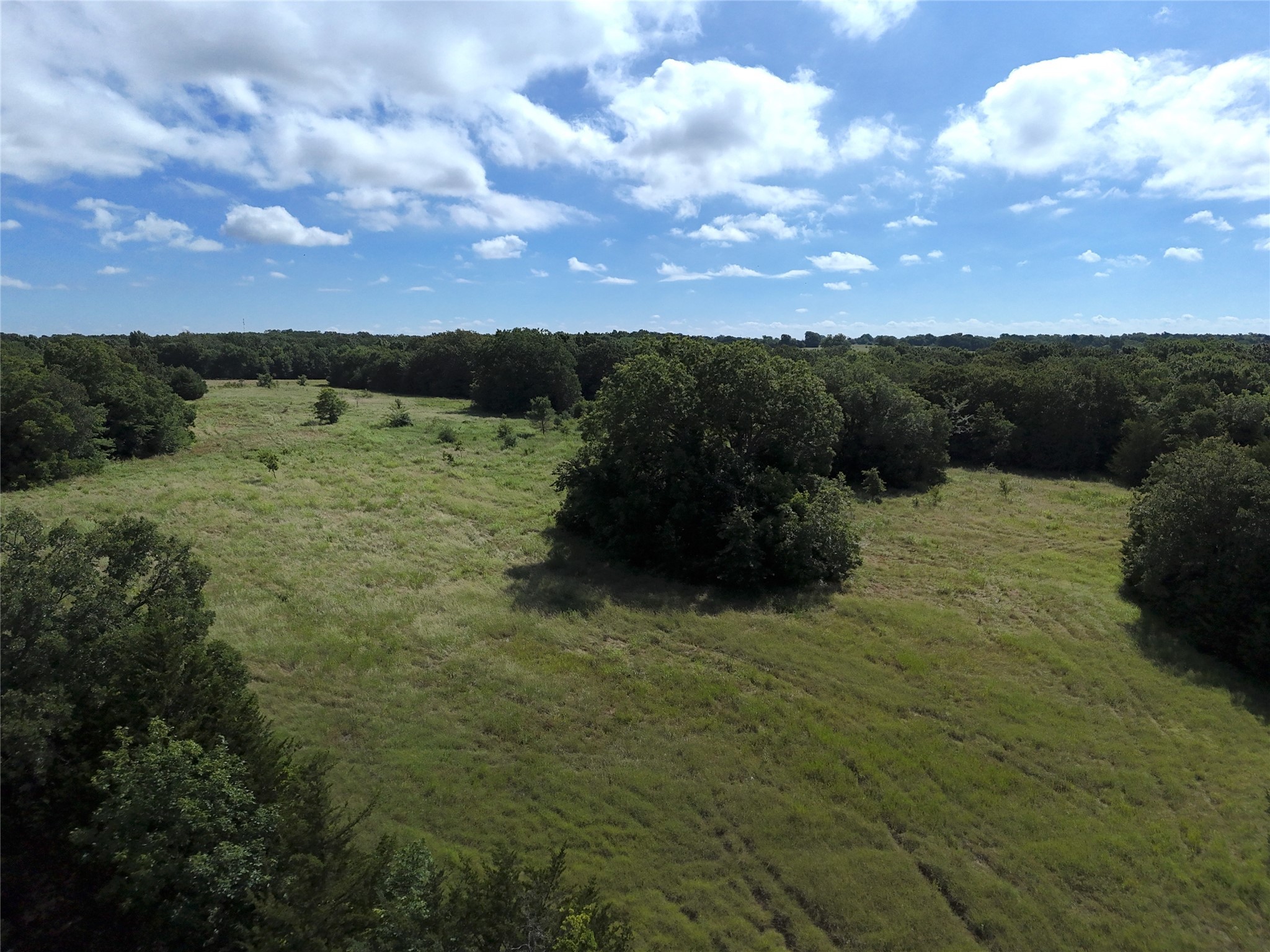 0013 Cr 2770 Honey Grove TX 75446