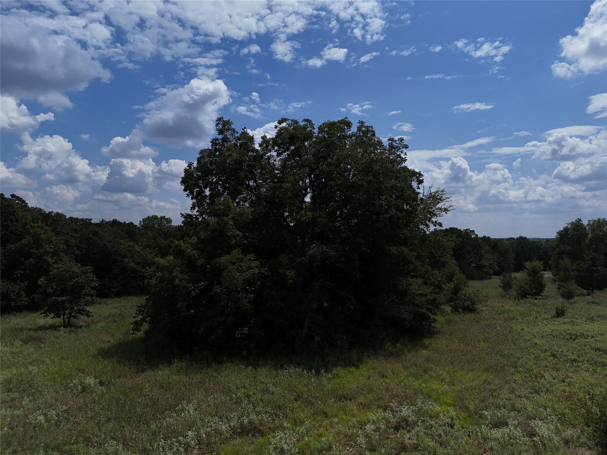 0013 Cr 2770 Honey Grove TX 75446