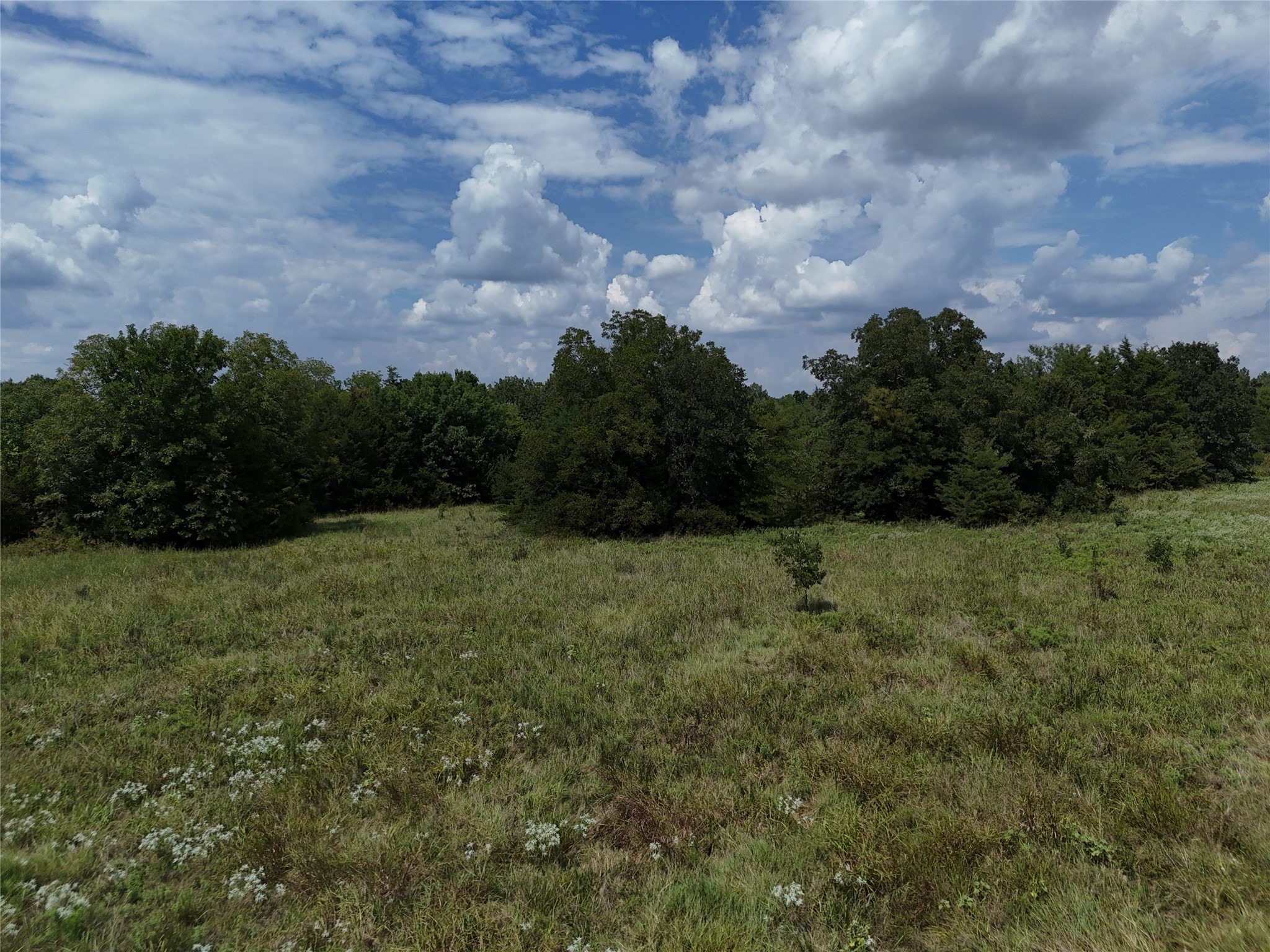 0013 Cr 2770 Honey Grove TX 75446