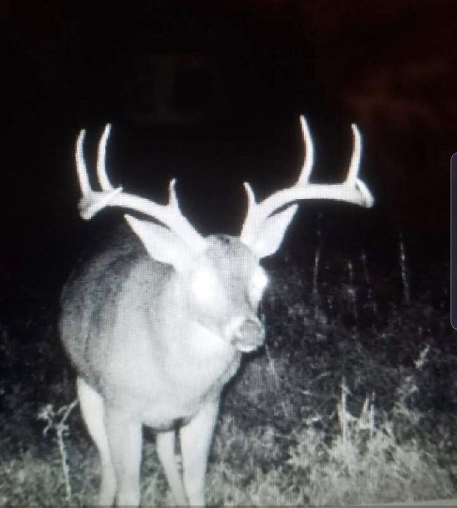 16513 Fm 1159 Clarksville TX 75426
