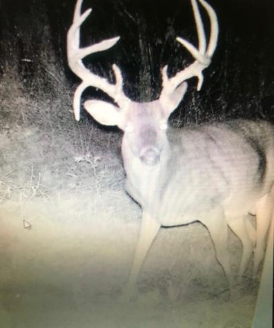 16513 Fm 1159 Clarksville TX 75426