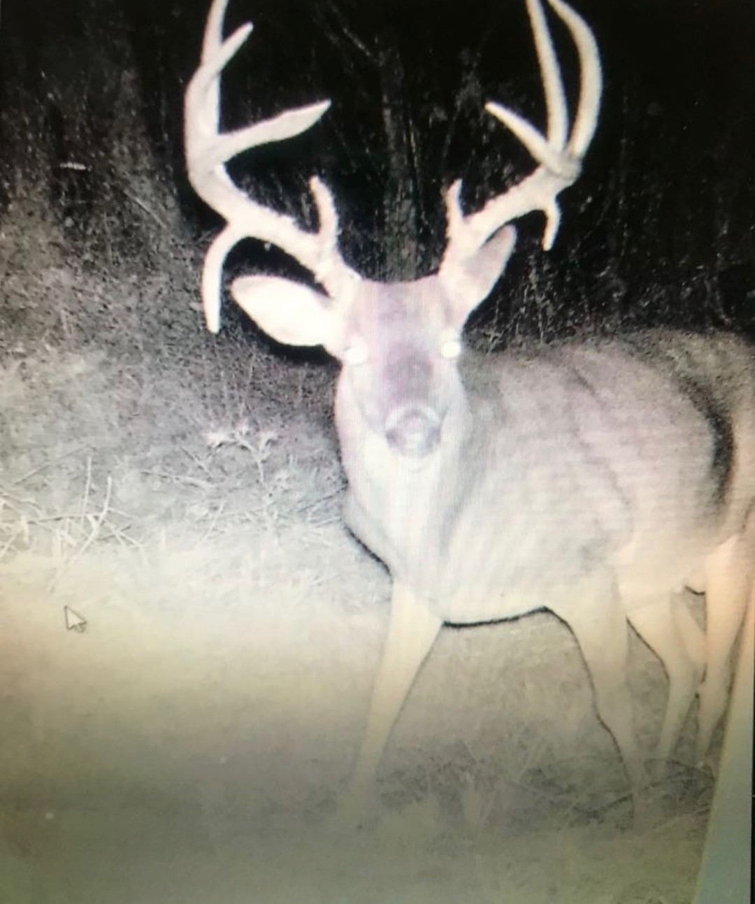 16513 Fm 1159 Clarksville TX 75426