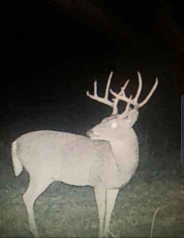 16513 Fm 1159 Clarksville TX 75426