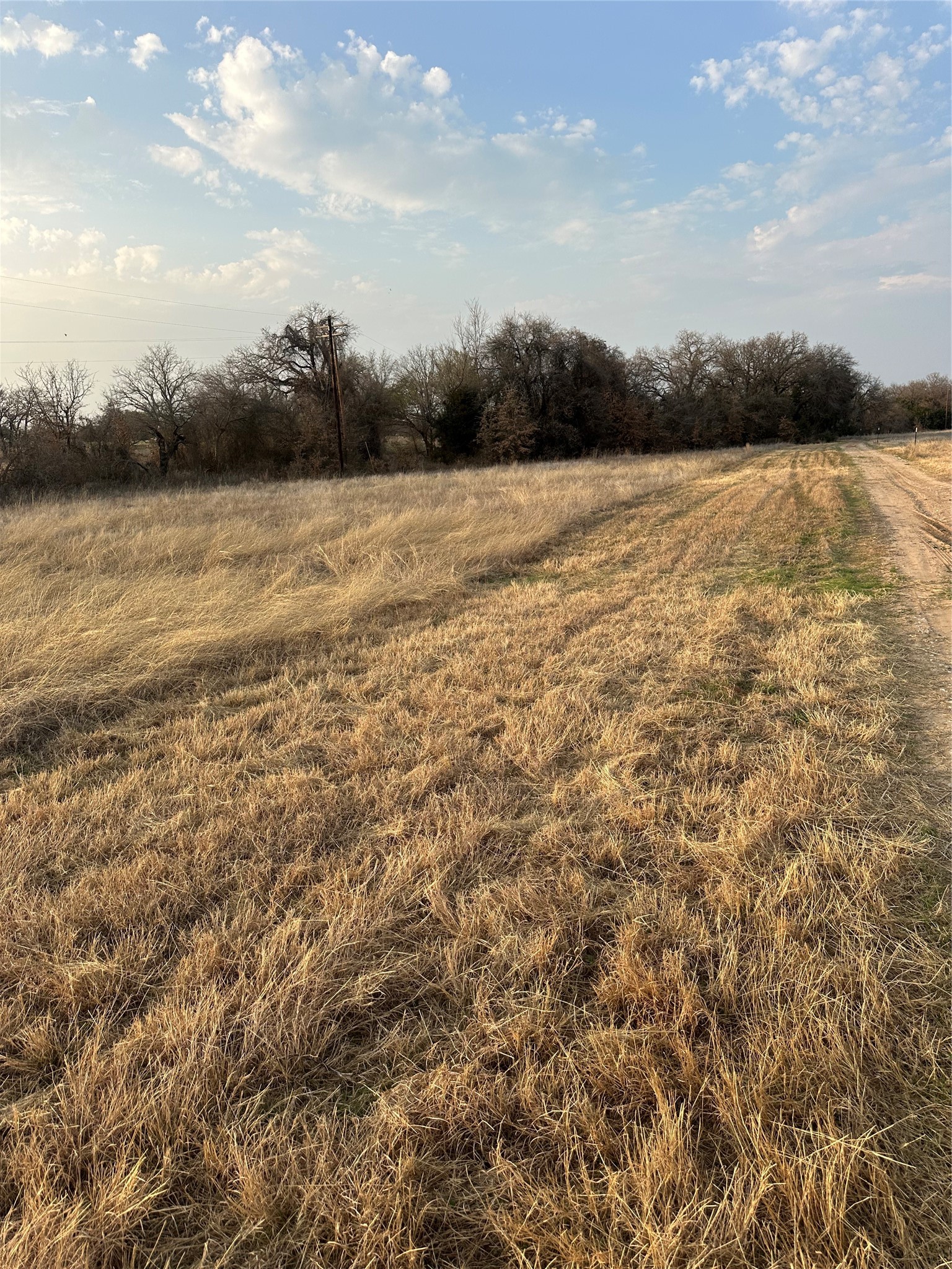 1551 County Road 1480 Chico TX 76431