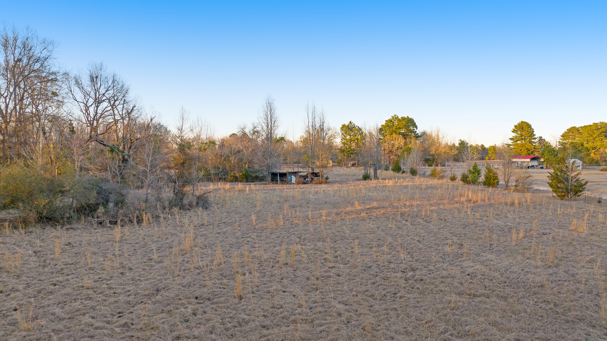 6490 Fm 1701 Avery TX 75554