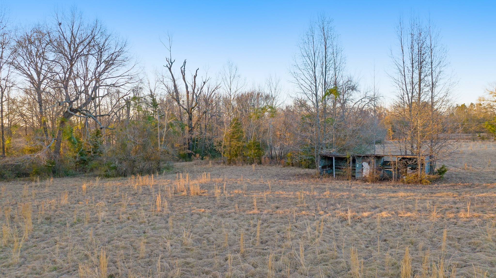 6490 Fm 1701 Avery TX 75554