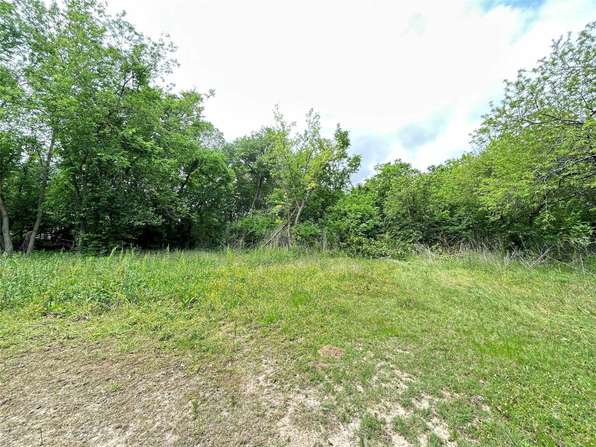 Tbd Sheffield Street Sulphur Springs TX 75482