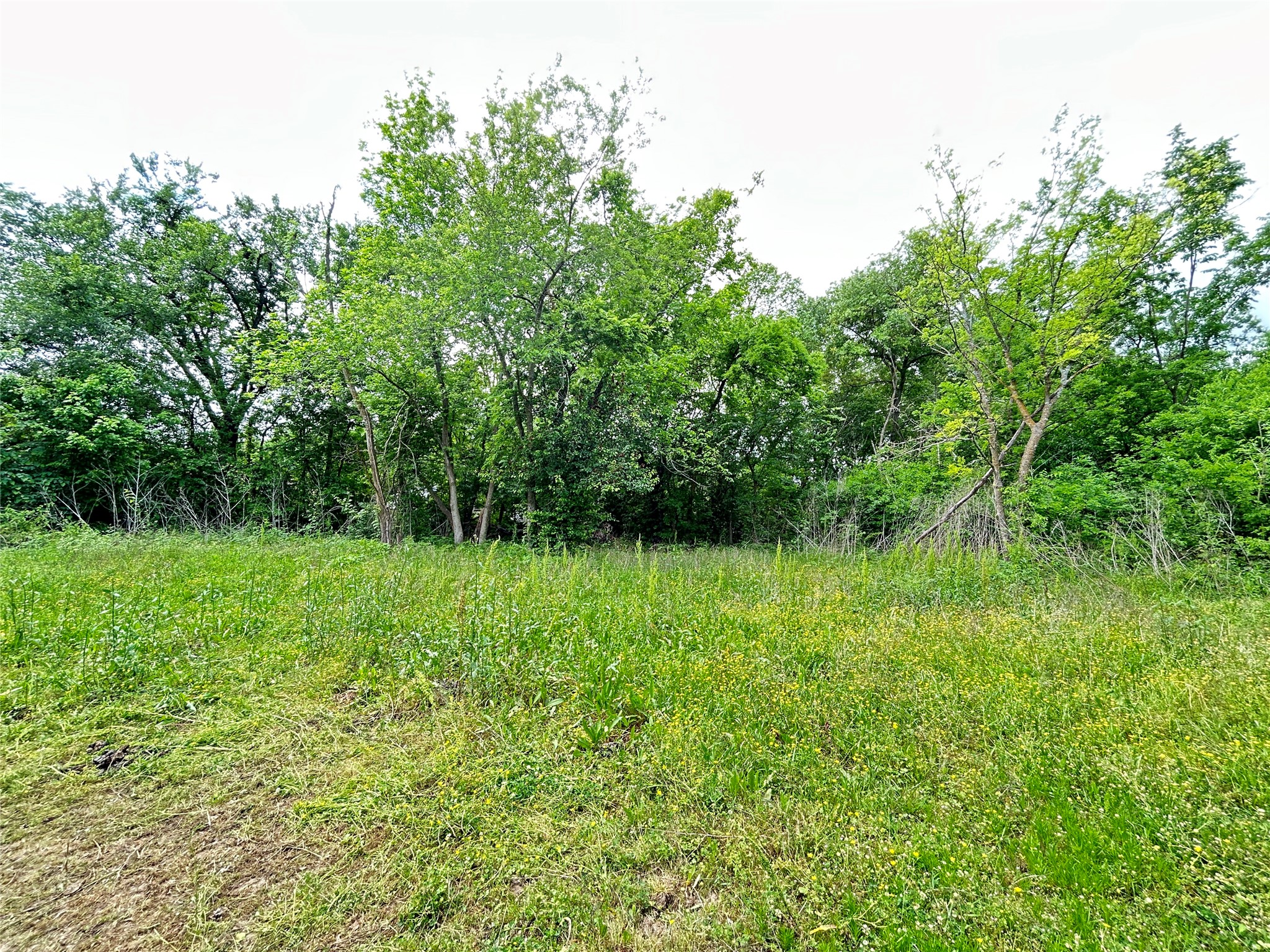 Tbd Sheffield Street Sulphur Springs TX 75482