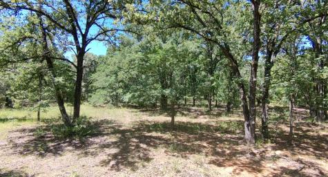 Lot 19 Saddle Creek Court Alba TX 75410