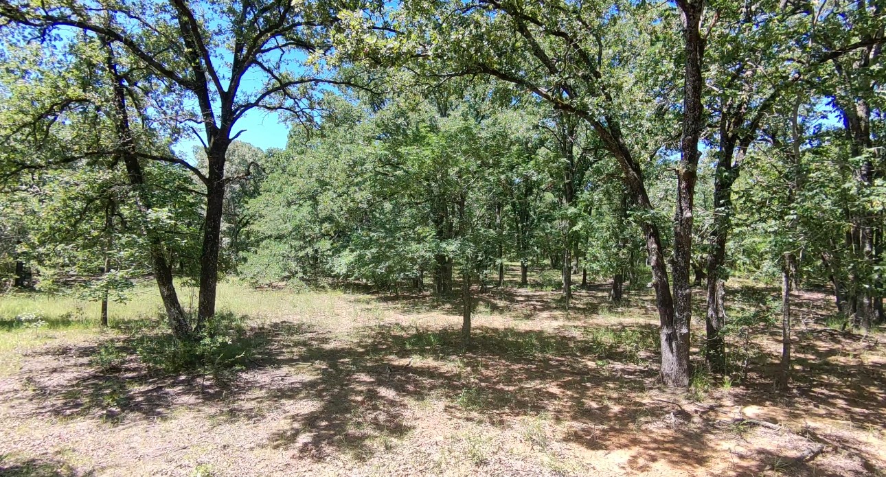 Lot 19 Saddle Creek Court Alba TX 75410