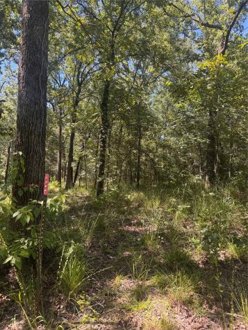 Lot 19 Saddle Creek Court Alba TX 75410