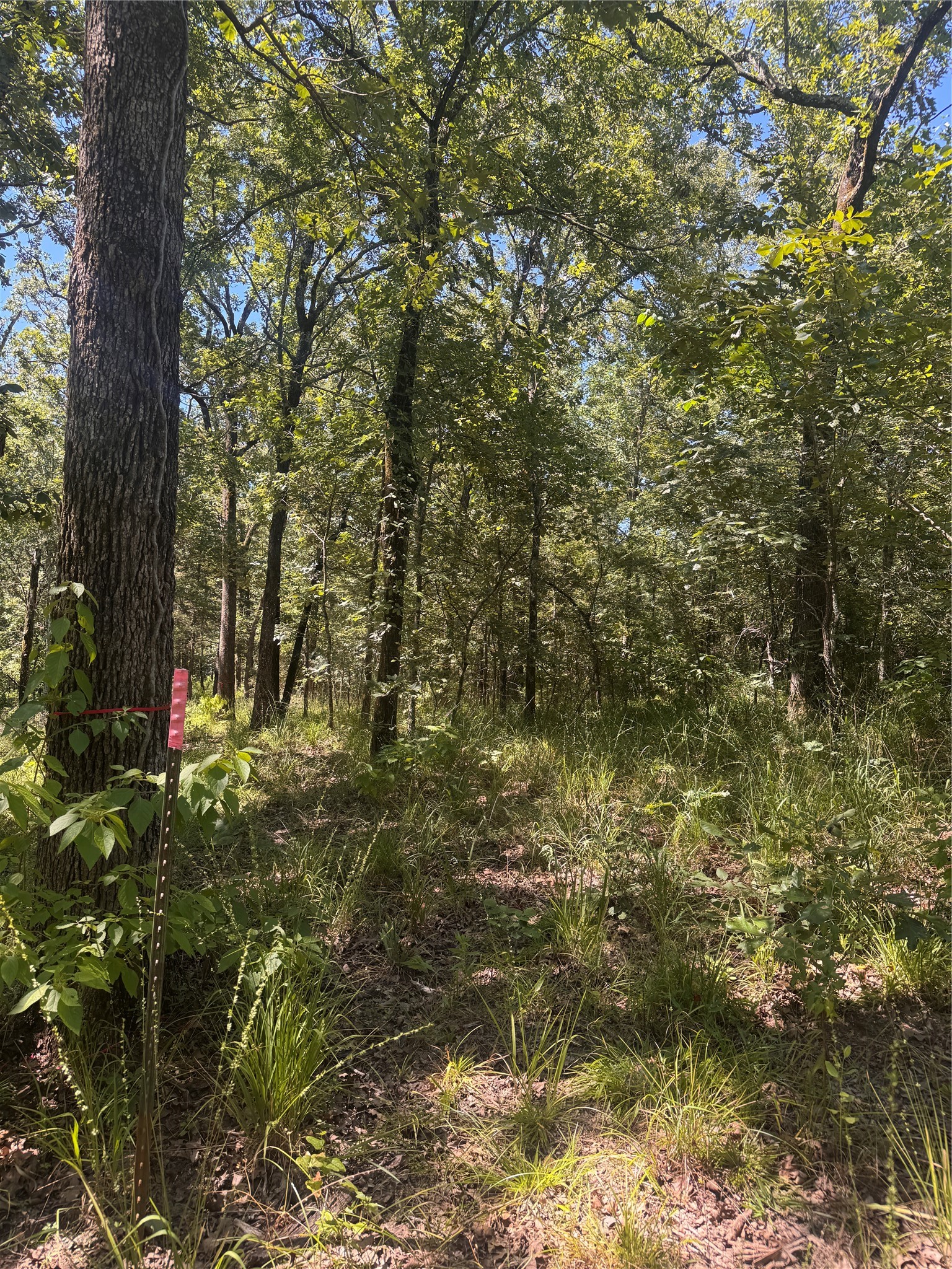Lot 19 Saddle Creek Court Alba TX 75410