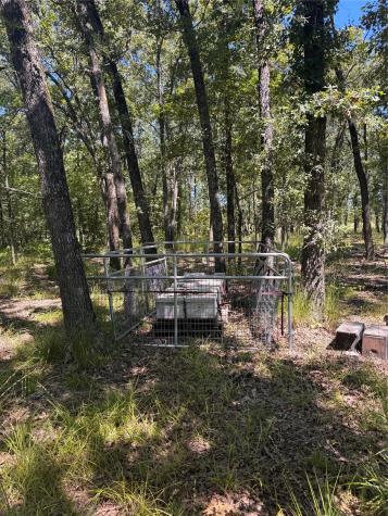 Lot 19 Saddle Creek Court Alba TX 75410