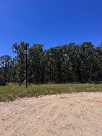 Lot 19 Saddle Creek Court Alba TX 75410