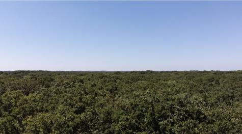 Lot 19 Saddle Creek Court Alba TX 75410
