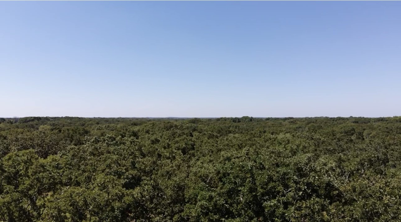 Lot 19 Saddle Creek Court Alba TX 75410