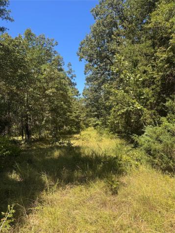 Lot 19 Saddle Creek Court Alba TX 75410