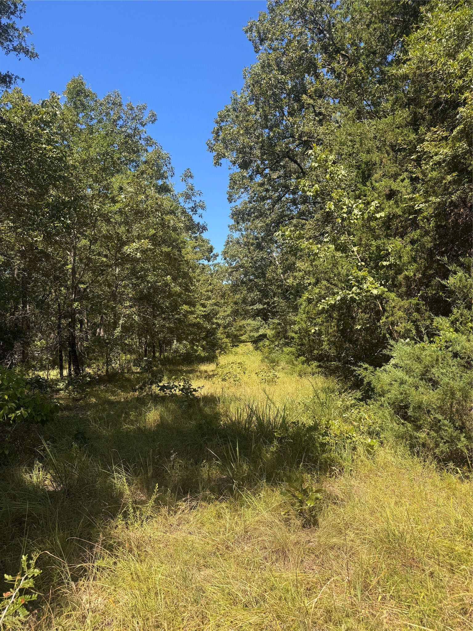 Lot 19 Saddle Creek Court Alba TX 75410