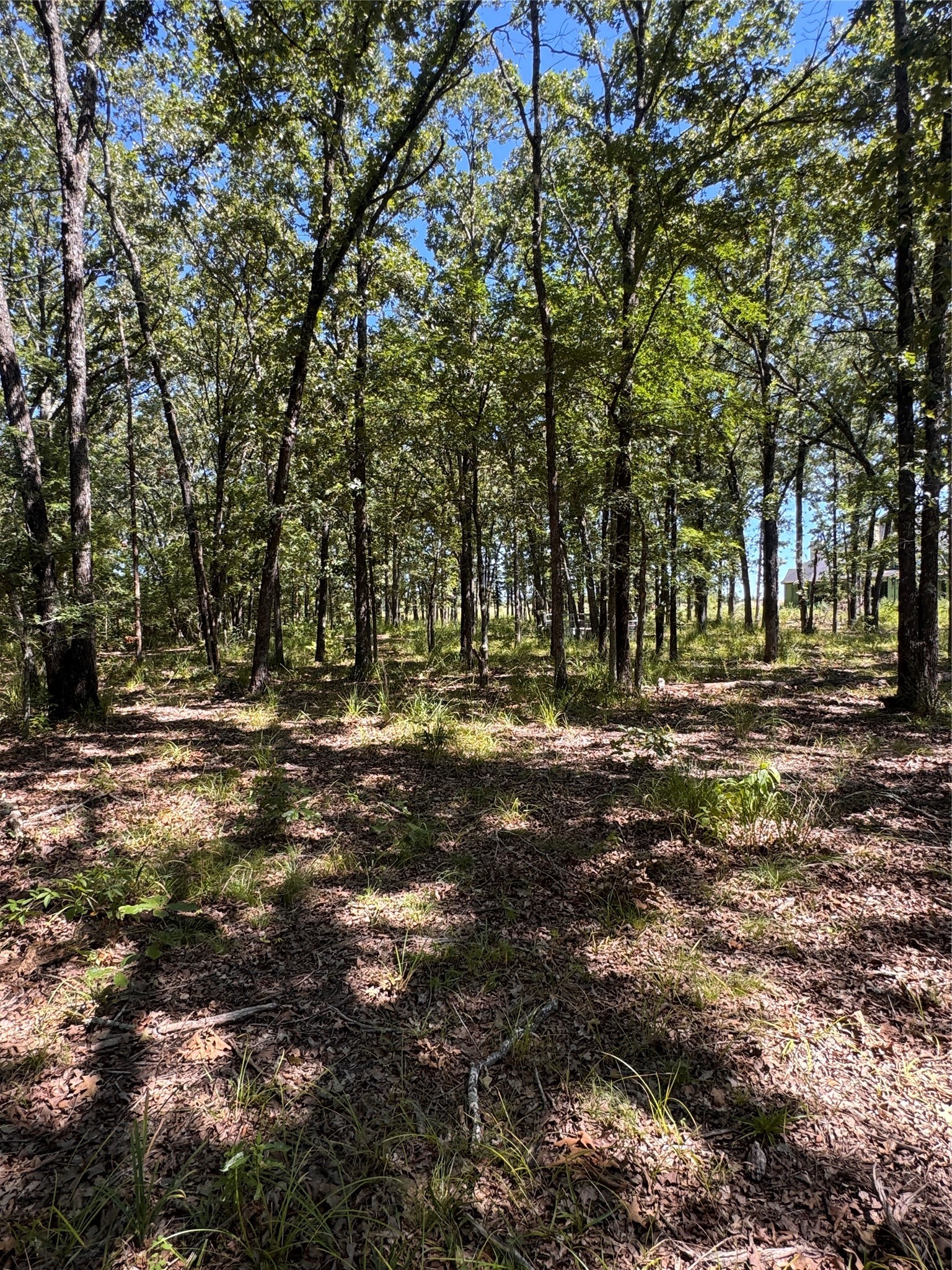 Lot 19 Saddle Creek Court Alba TX 75410