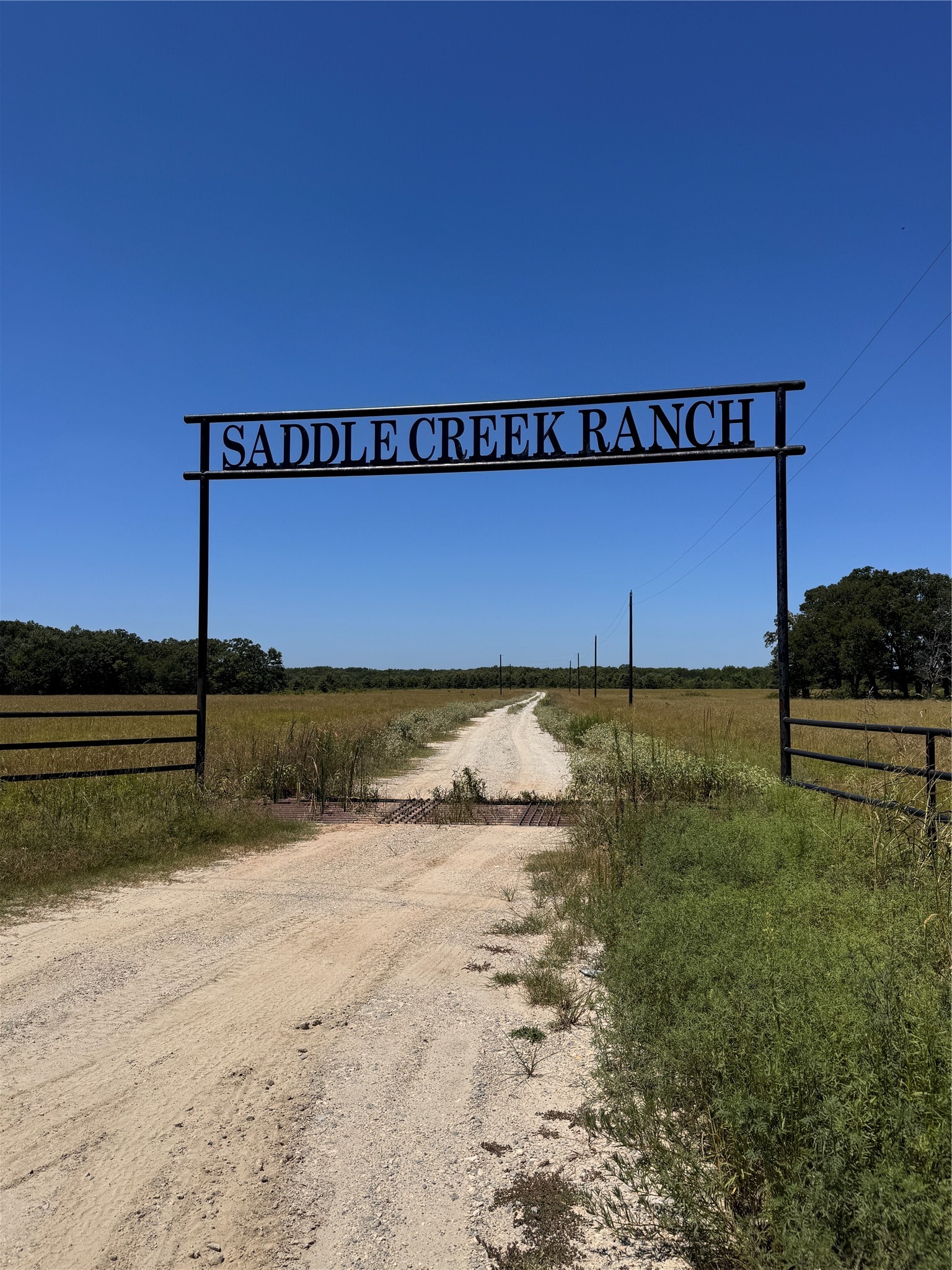 Lot 19 Saddle Creek Court Alba TX 75410