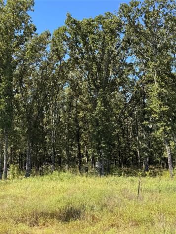 Lot 19 Saddle Creek Court Alba TX 75410