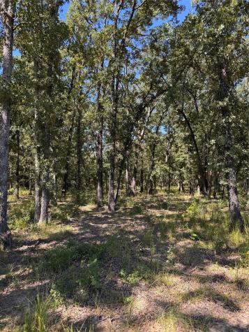Lot 19 Saddle Creek Court Alba TX 75410