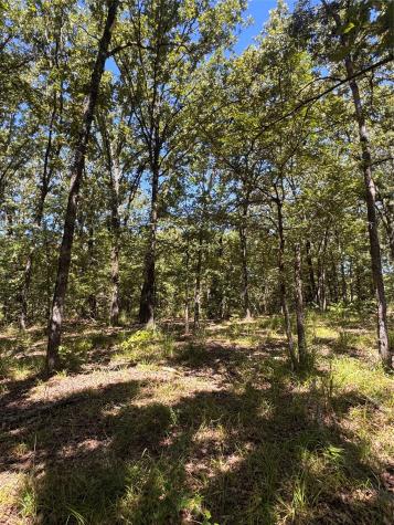 Lot 19 Saddle Creek Court Alba TX 75410