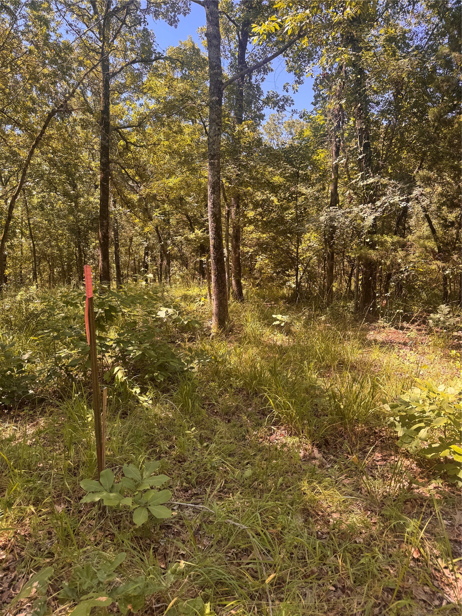 Lot 19 Saddle Creek Court Alba TX 75410