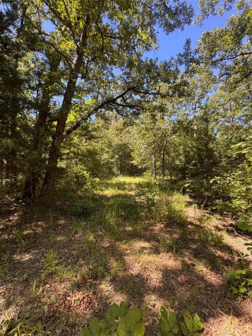 Lot 19 Saddle Creek Court Alba TX 75410