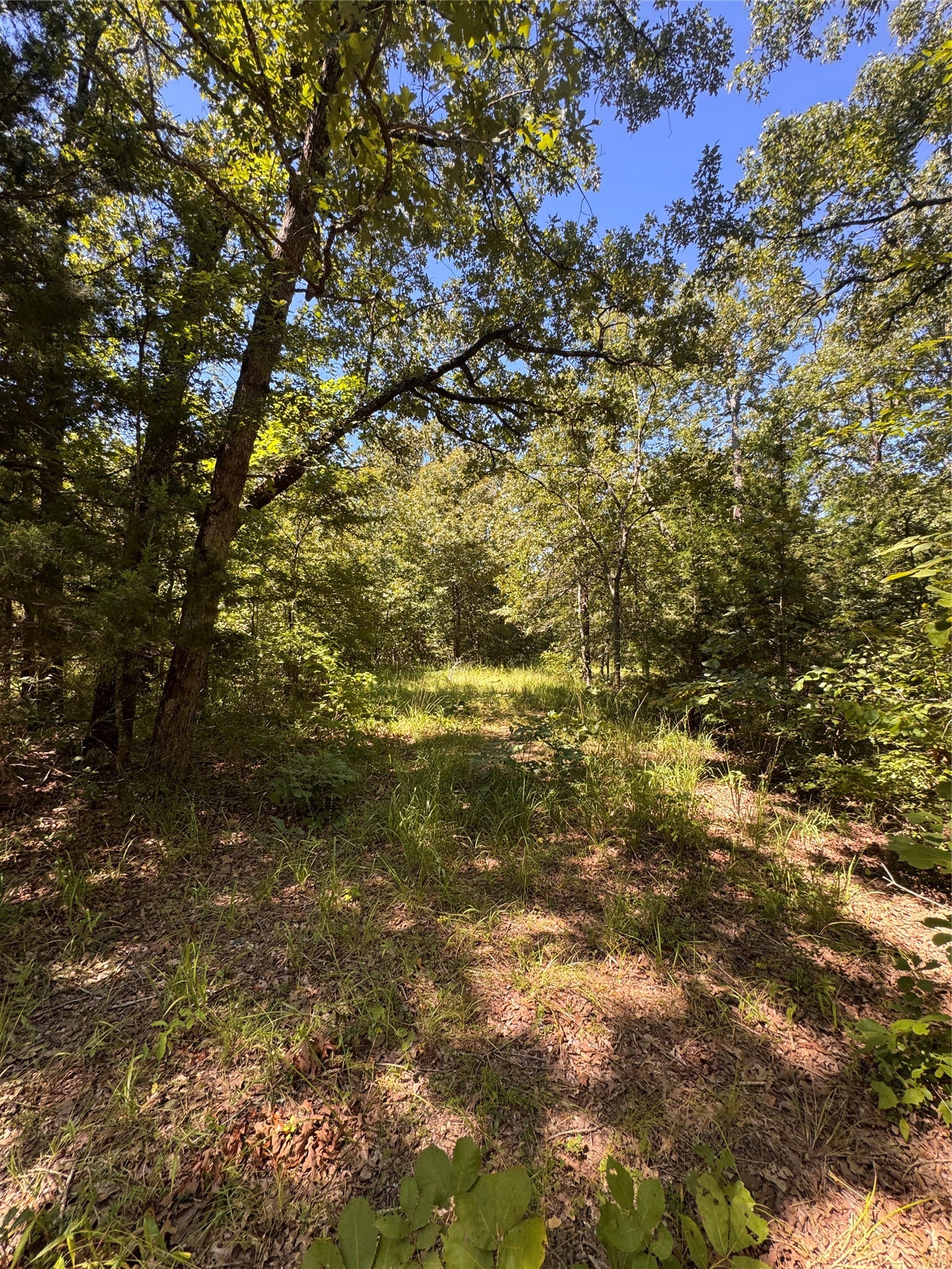 Lot 19 Saddle Creek Court Alba TX 75410