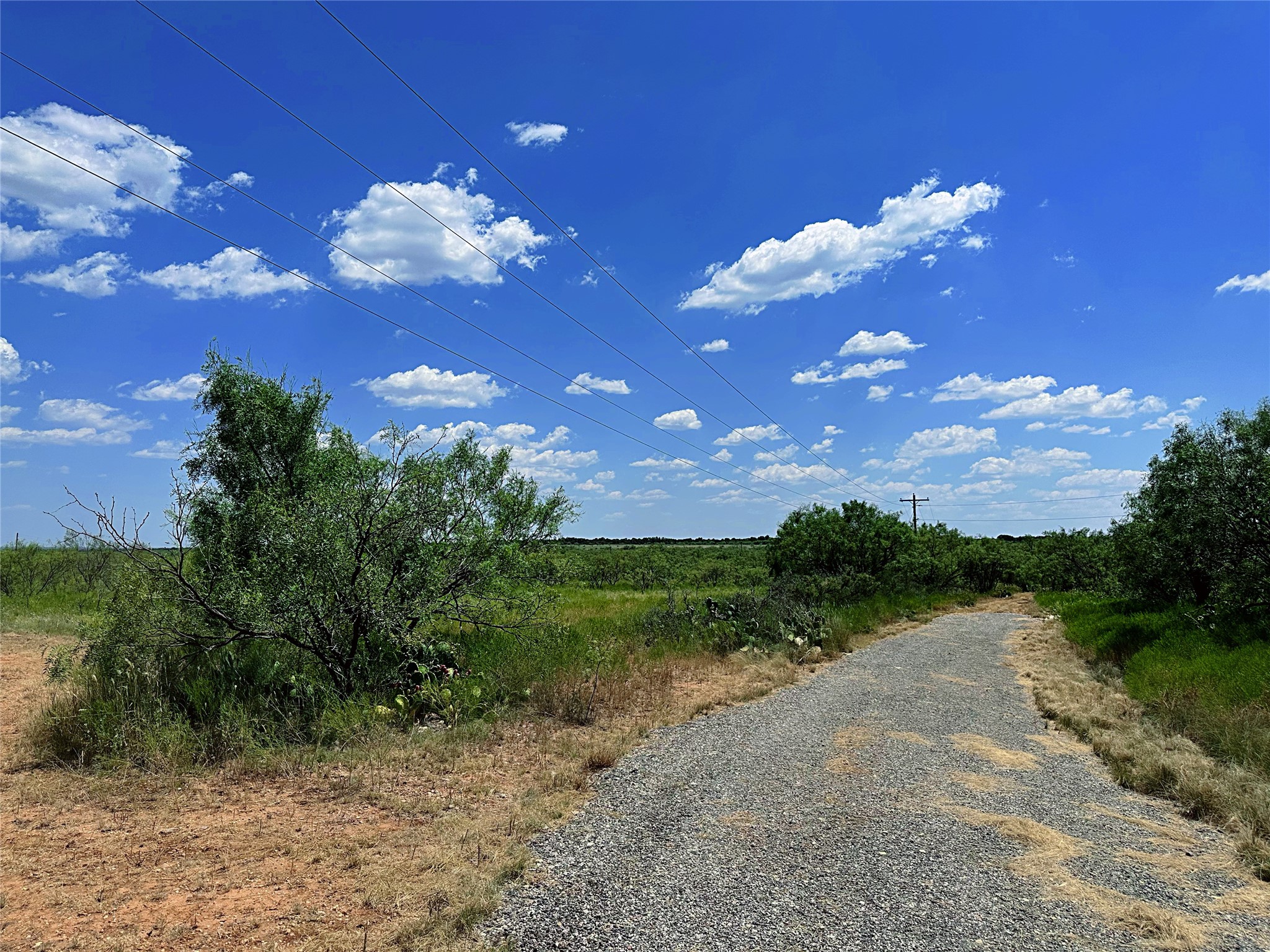Tbd (East Tract) County Road 356 Anson TX 79501