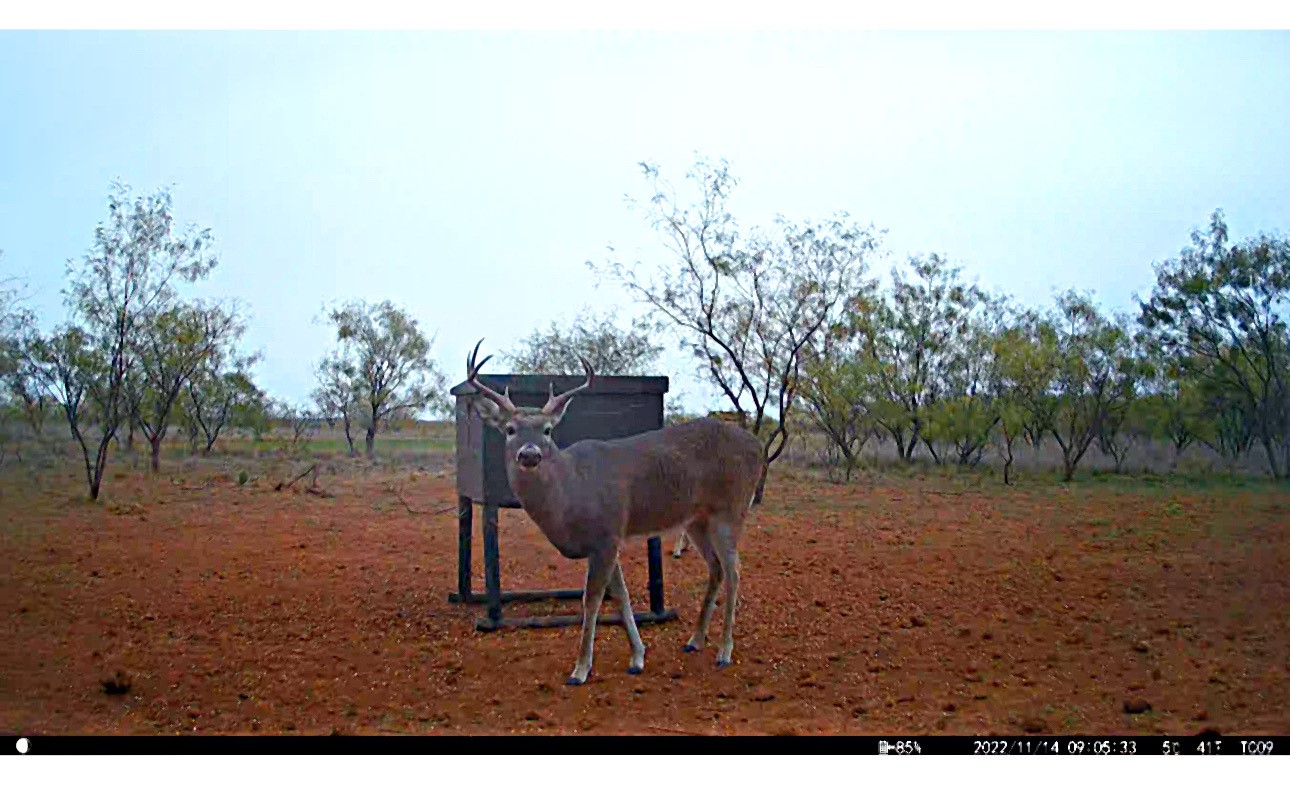 Tbd (East Tract) County Road 356 Anson TX 79501