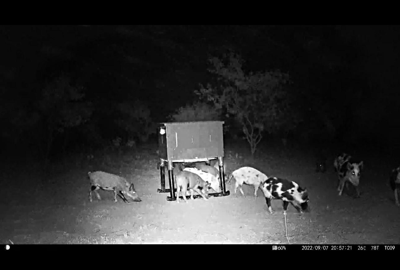 Tbd (East Tract) County Road 356 Anson TX 79501