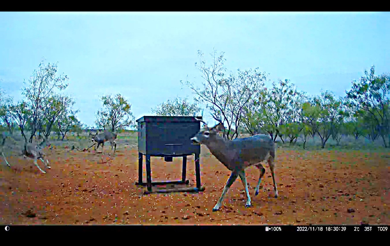 Tbd (East Tract) County Road 356 Anson TX 79501