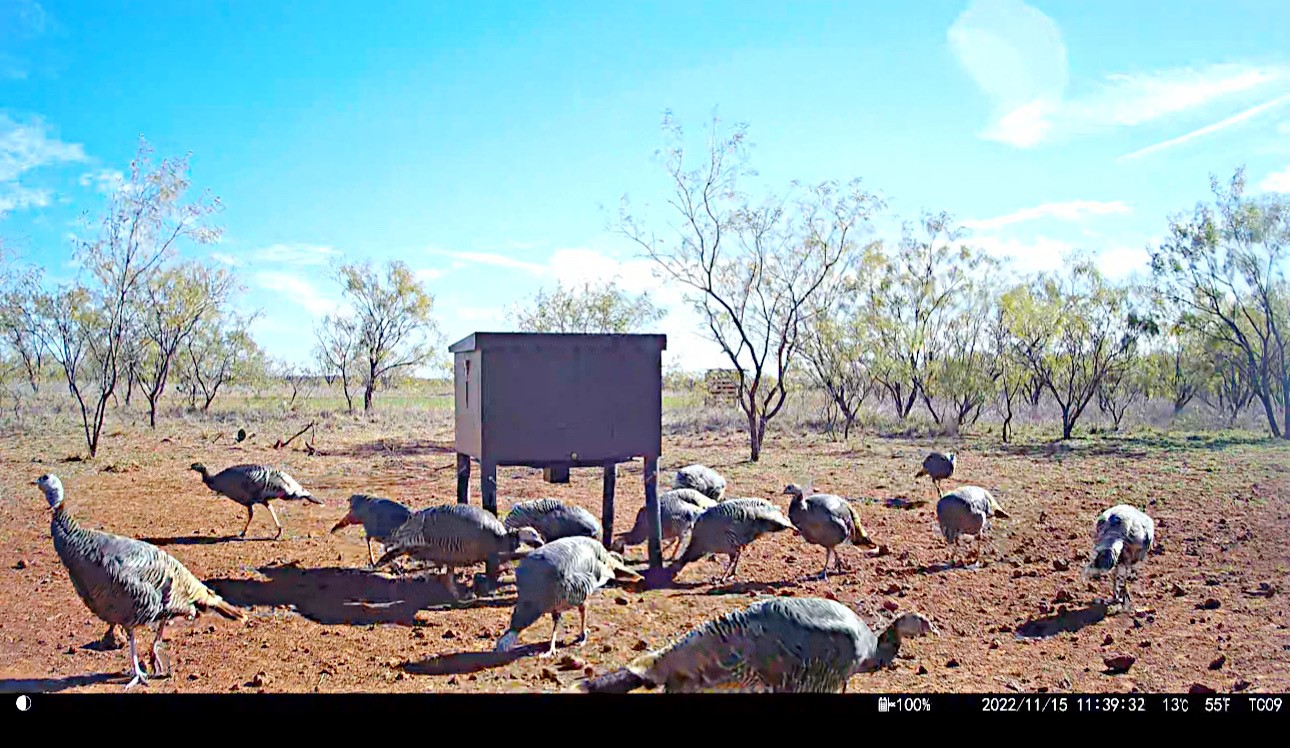 Tbd (East Tract) County Road 356 Anson TX 79501