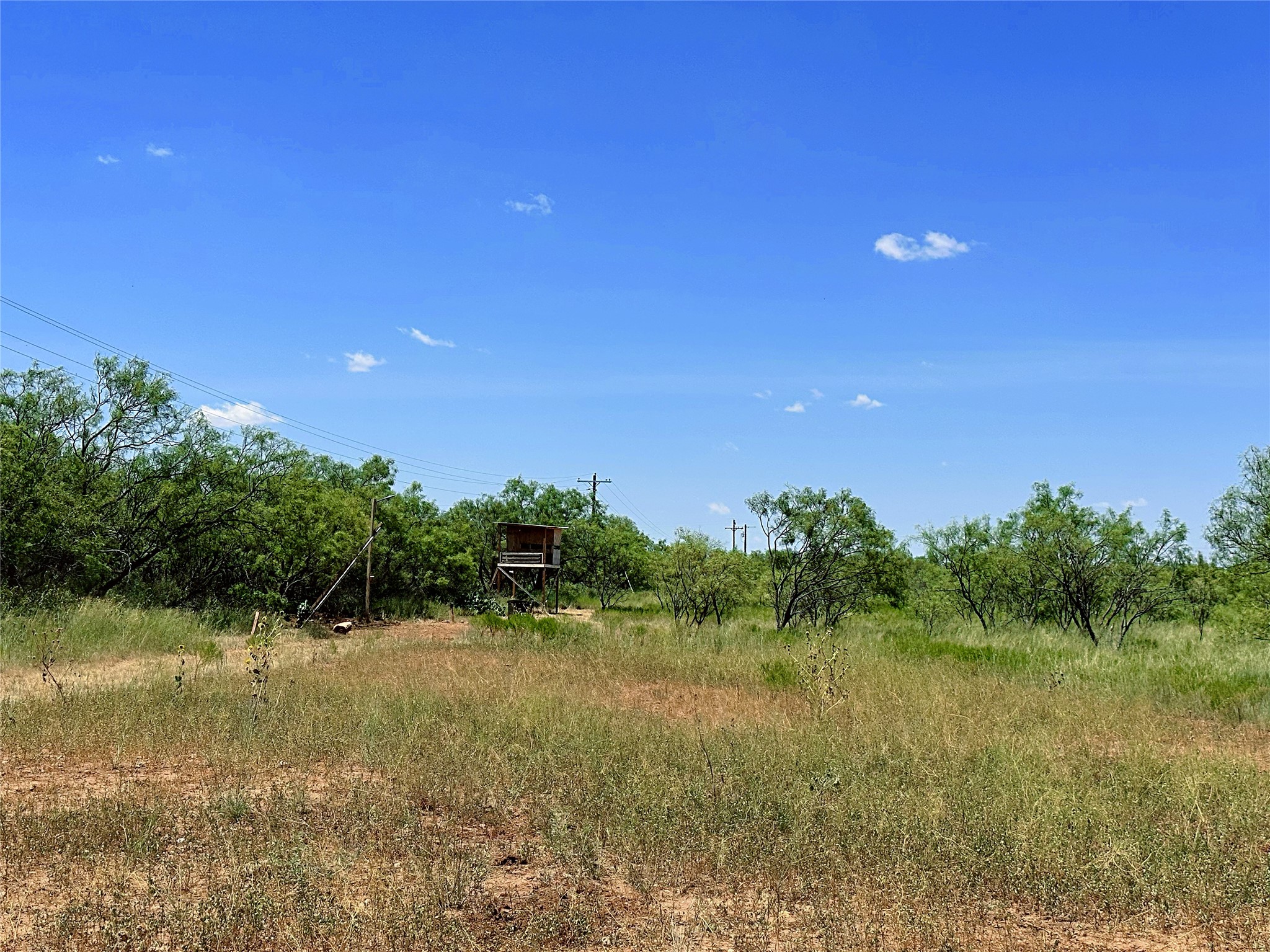 Tbd (East Tract) County Road 356 Anson TX 79501